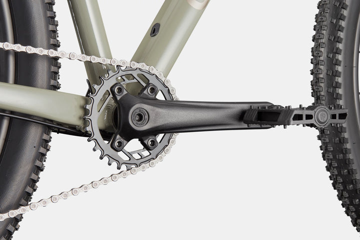 Cannondale Trail 1