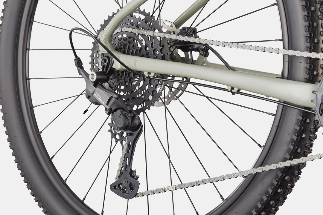 Cannondale Trail 1