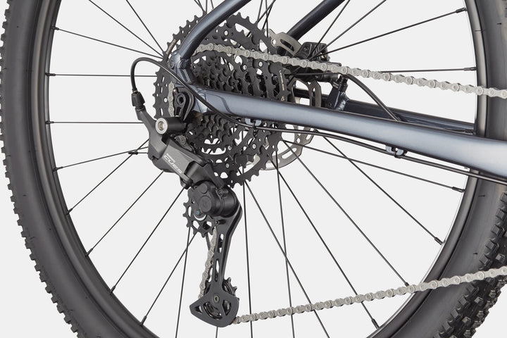 Cannondale Trail 1
