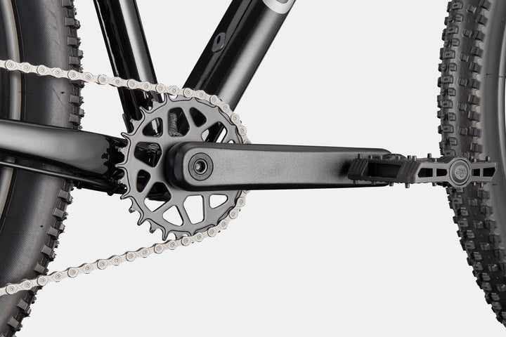 Cannondale Trail 2
