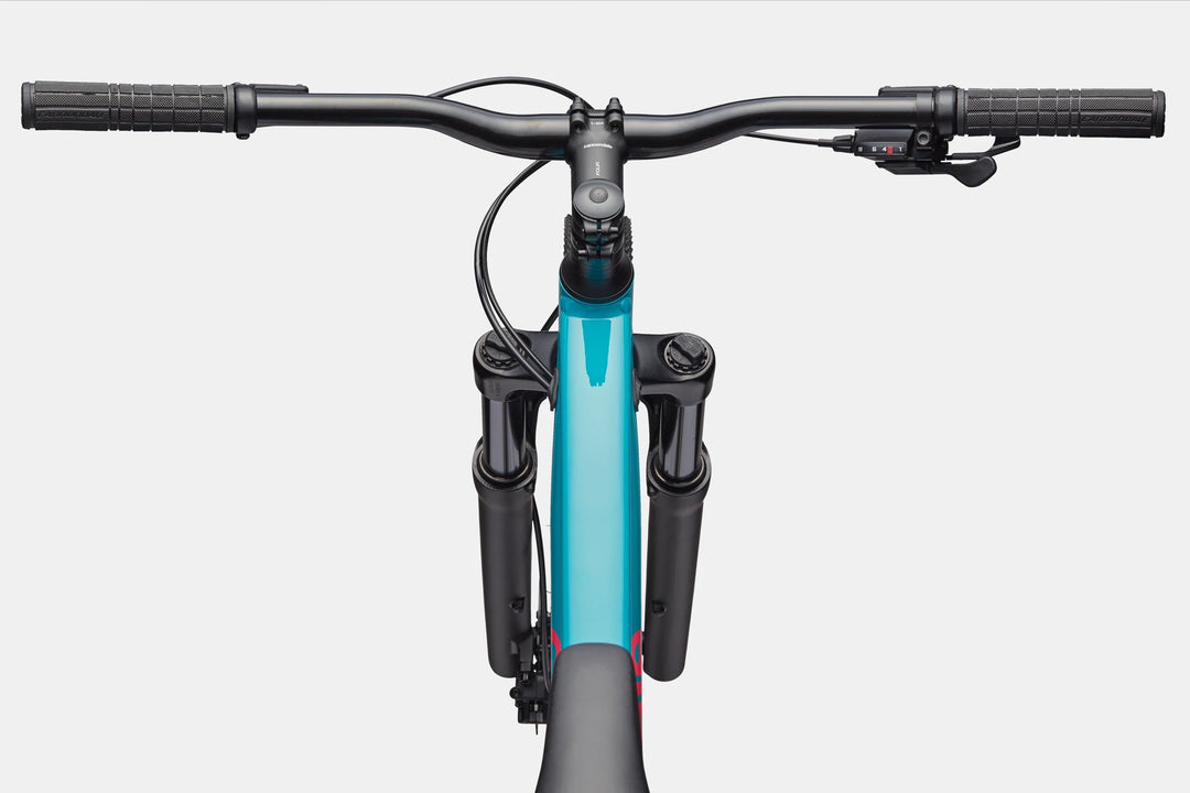 Cannondale Trail 2