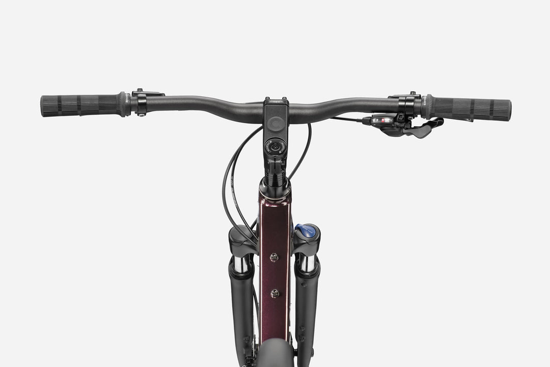 Cannondale Quick CX 2