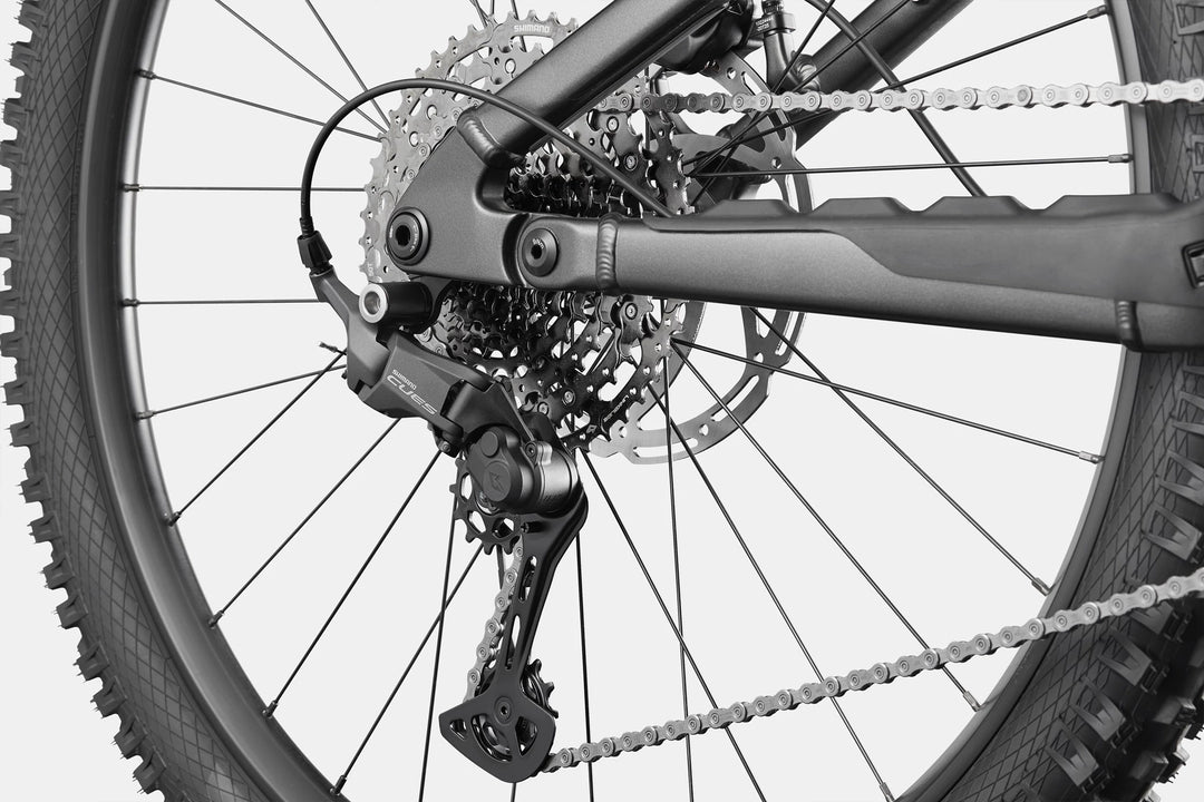 Cannondale Moterra 4