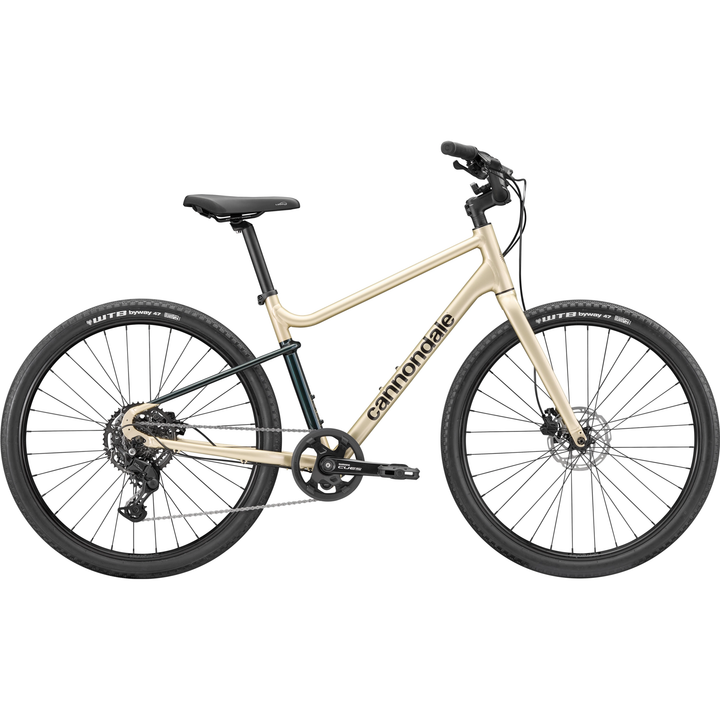 Cannondale Treadwell 1