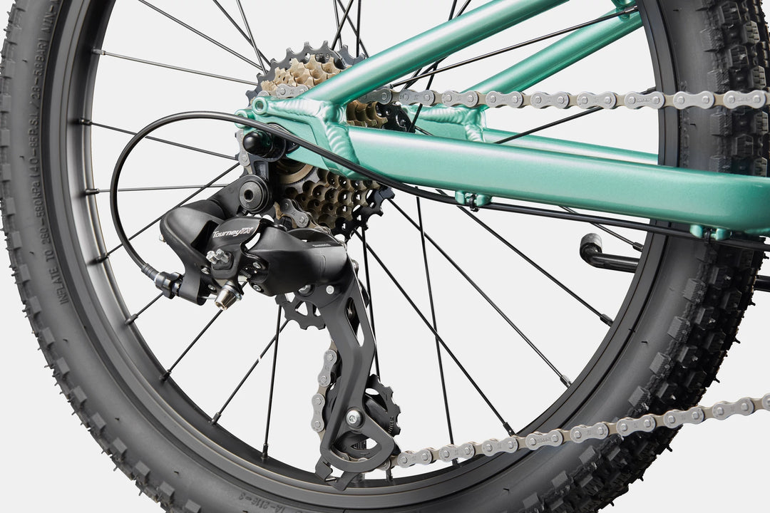Cannondale Kids Trail 20