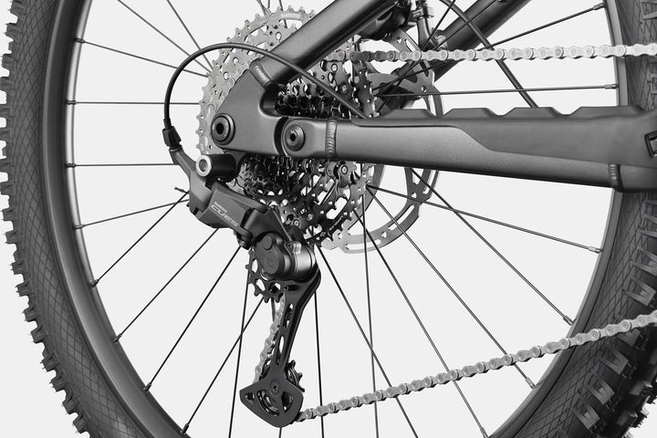 Cannondale Moterra 4+